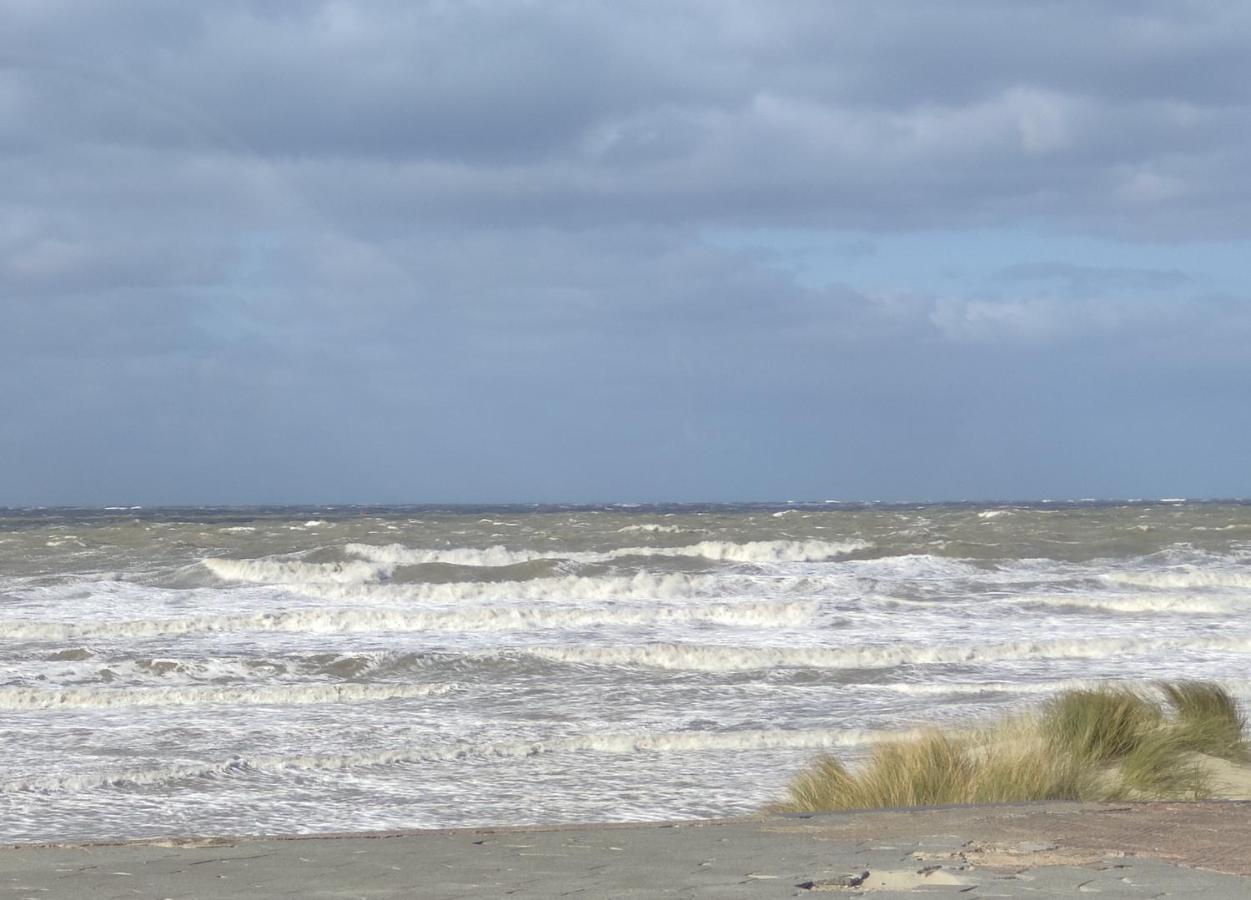 Plage Et Jardin A Malo Les Bains Dunkirk Екстериор снимка